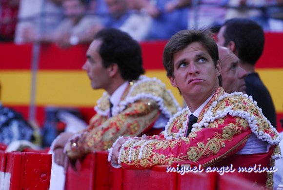 toros de las fiestas del corpus de granada 2007.