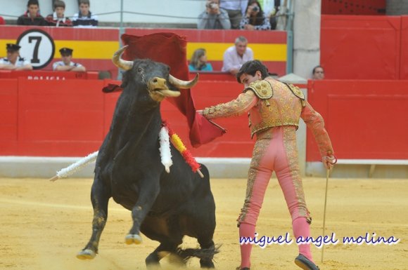 feria del corpus de granada 2009. novillada sin picaores.
en la imagen garza gaona