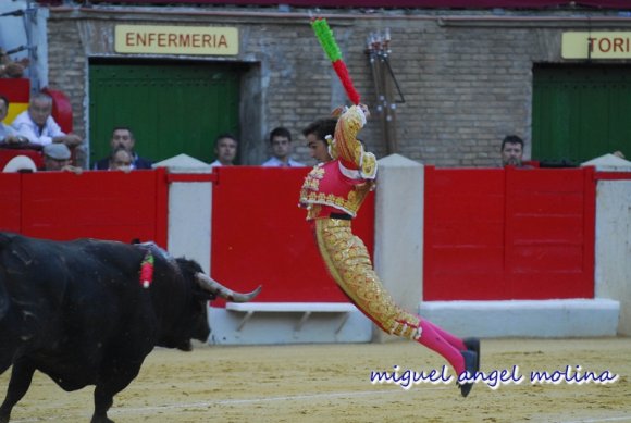 toros de las fiestas del corpus de granada 2007.