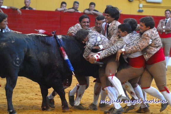 Tarde de Rejoneo y la actuacin de los forcados en la plaza de t