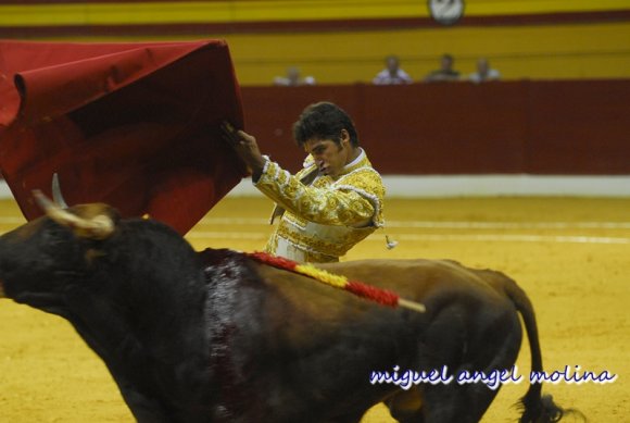 GR14. GRANADA, 25/07/09.-
Corrida de Toros de la Prensa celebrado en la Plaza de Toros de Atarfe.
En el cartel figuras del toreo como Ortega Cano, Julio Aparicio y  Cayetano Rivera.
En la imagen Cayetano Rivera en uno de sus toros en Granada.