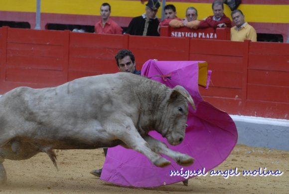 festival taurino a beneficio de la asociacion de sindrome de dow