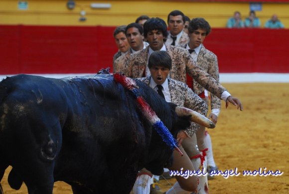 Tarde de Rejoneo y la actuacin de los forcados en la plaza de t