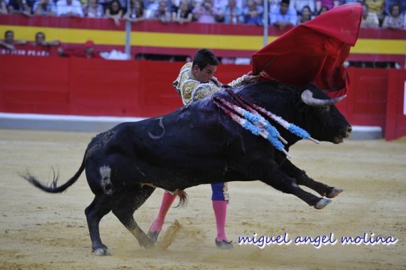 GR01.GRANADA, 23/06/11.-
Plaza de toros de granada. Celebración de la corrida de toros de las fiestas del Corpus Christi con los diestros Morante de la Pueble, el Fandi y Jose Maria Manzanares.
En la imagen manzanares en su primer toro.