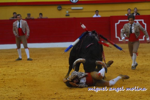 Tarde de Rejoneo y la actuacin de los forcados en la plaza de t