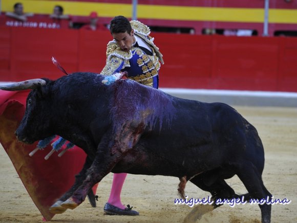 GR01.GRANADA, 23/06/11.-
Plaza de toros de granada. Celebración de la corrida de toros de las fiestas del Corpus Christi con los diestros Morante de la Pueble, el Fandi y Jose Maria Manzanares.
En la imagen manzanares en su primer toro.