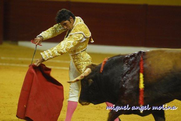 GR11. GRANADA, 25/07/09.-
Corrida de Toros de la Prensa celebrado en la Plaza de Toros de Atarfe.
En el cartel figuras del toreo como Ortega Cano, Julio Aparicio y  Cayetano Rivera.
En la imagen Cayetano Rivera en uno de sus toros en Granada.