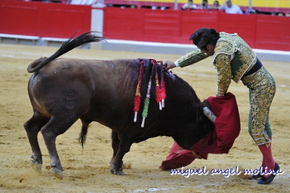 GR01.GRANADA, 23/06/11.-
Plaza de toros de granada. Celebración de la corrida de toros de las fiestas del Corpus Christi con los diestros Morante de la Pueble, el Fandi y Jose Maria Manzanares.
En la imagen morante mata a  su segundo toro consiguiendo las dos orejas