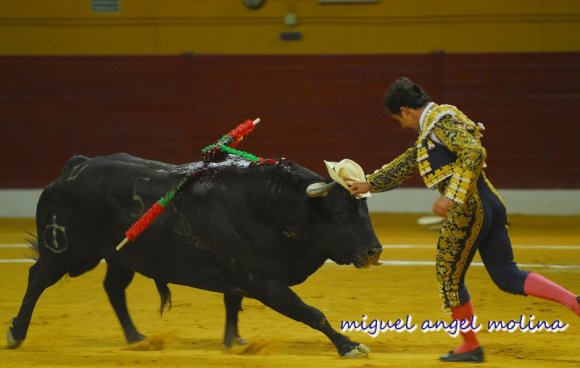 corrida de toros en atarfe fandi