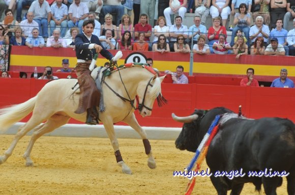 Corrida de rejoneadores en el ultimo dia del corpus.en la imagen diego ventura.