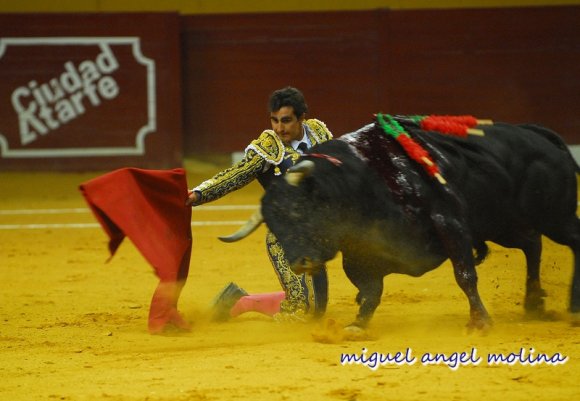 corrida de toros en atarfe fandi