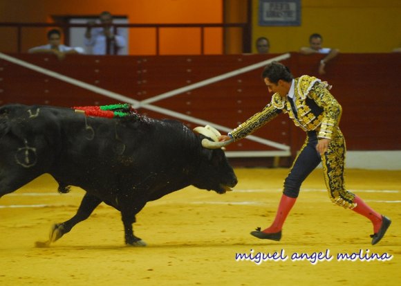 corrida de toros en atarfe fandi