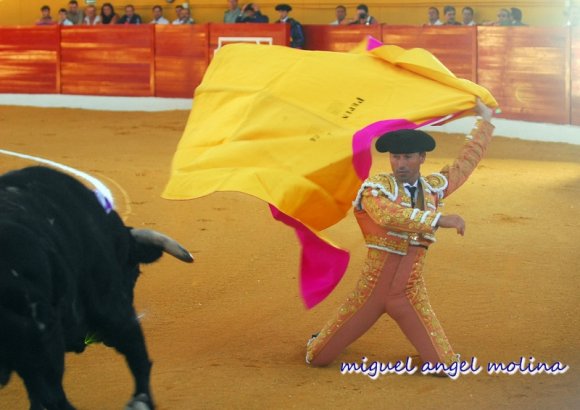 corrida de toros en atarfe fandi