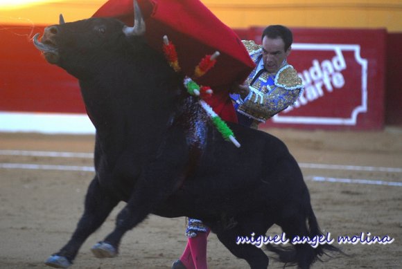 corrida de toros en atarfe fandi