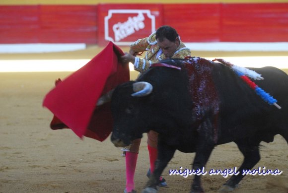 corrida de toros en atarfe fandi