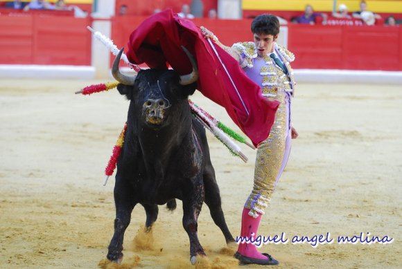 corrida de toros con motivo de las fiestas de la virgen de las a