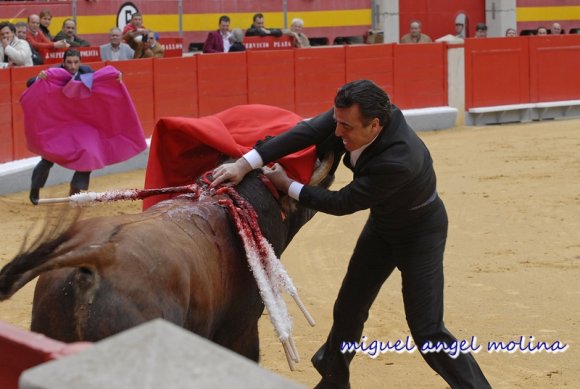 festival taurino a beneficio de la asociacion de sindrome de dow