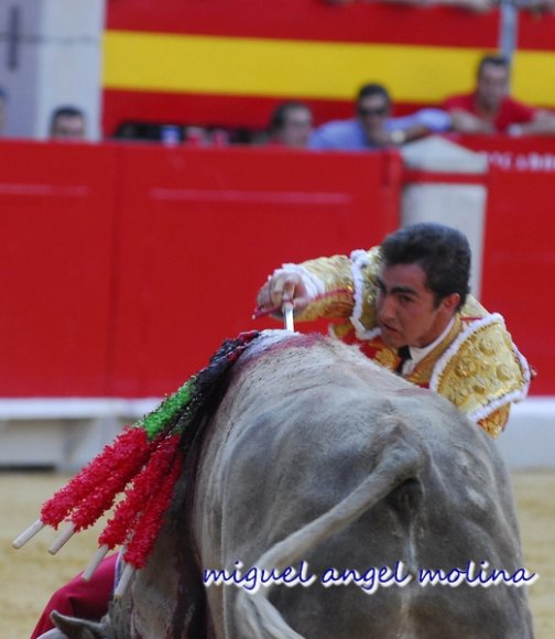 toros de las fiestas del corpus de granada 2007.