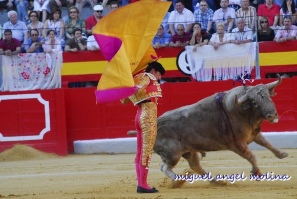 toros de las fiestas del corpus de granada 2007.