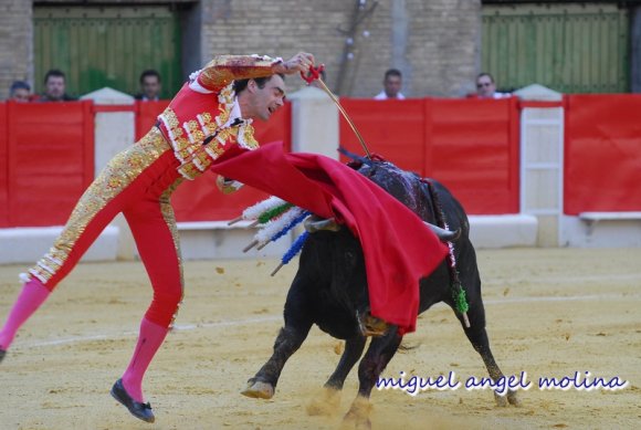 toros de las fiestas del corpus de granada 2007.