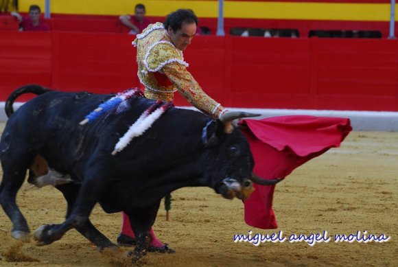 toros de las fiestas del corpus de granada 2007.