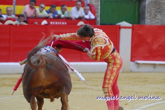 toros de las fiestas del corpus de granada 2007.