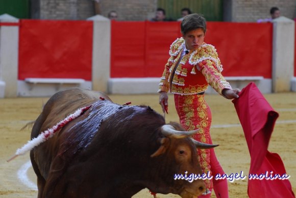 toros de las fiestas del corpus de granada 2007.