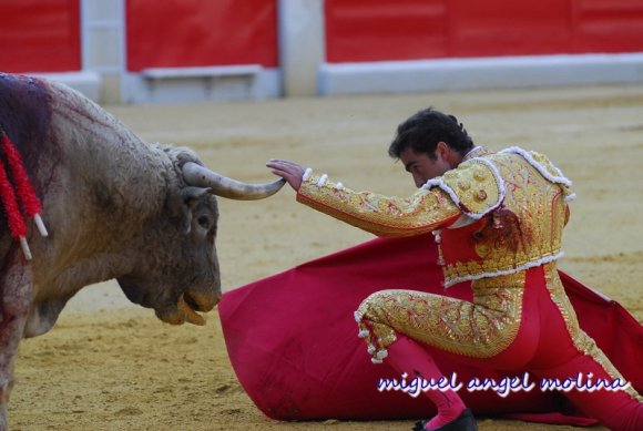 toros de las fiestas del corpus de granada 2007.