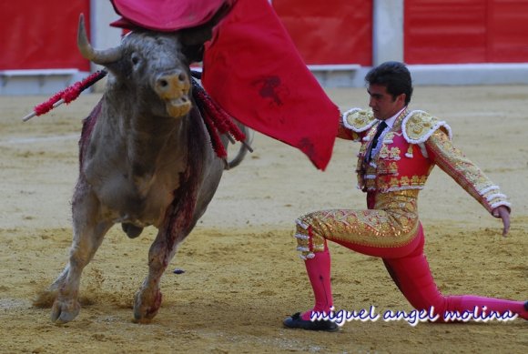 toros de las fiestas del corpus de granada 2007.