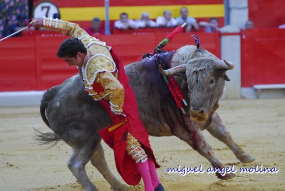 toros de las fiestas del corpus de granada 2007.