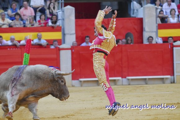 toros de las fiestas del corpus de granada 2007.