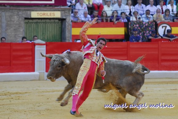 toros de las fiestas del corpus de granada 2007.