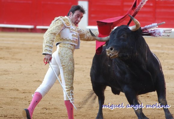 fiestas del corpus 2005 con la corrida de toros en la plaza de t