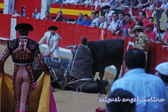 fiestas del corpus 2005 con la corrida de toros en la plaza de t