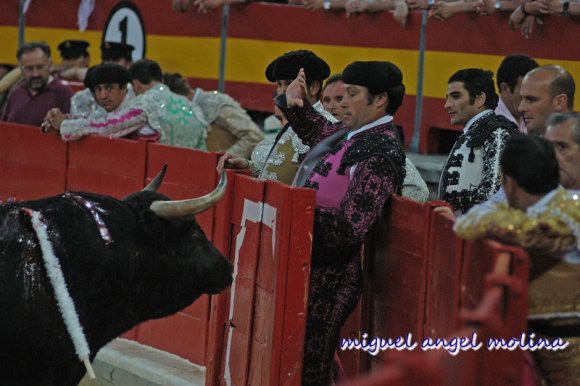 fiestas del corpus 2005 con la corrida de toros en la plaza de t