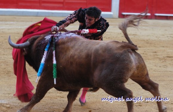 fiestas del corpus 2005 con la corrida de toros en la plaza de t